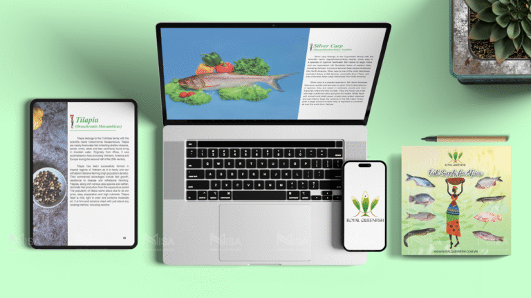 Thiết kế in ấn catalogue