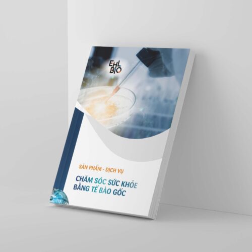 Dịch vụ thiết kế catalogue giới thiệu sản phẩm và brochure bán hàng chuyên nghiệp, đẹp mắt giúp gia tăng doanh số bán hàng vượt trội từ Misa Media. Keywords: thiết kế catalogue chuyên nghiệp, thiết kế catalogue sản phẩm, thiet ke catalogue, mẫu catalogue đẹp, dịch vụ thiết kế catalogue, cuốn catalogue sản phẩm, catalog design company, thiết kế catalogue nội thất, thiết kế catalogue xây dựng, bảng giá thiết kế catalogue, catalogue giới thiệu dự án